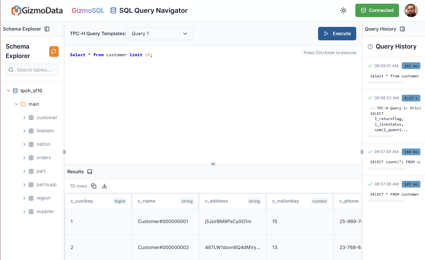 GizmoSQL SQL Editor interface showing the default view with query execution and query history